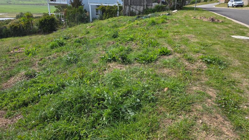 0 Bedroom Property for Sale in Reebok Western Cape